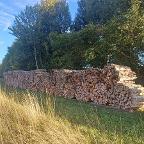 Brennholz Kiefer, Lärche