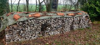 Brennholz Fichte, Kiefer, Tanne Lübtheen