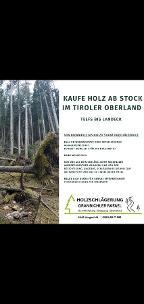Stehendes Holz Fichte, Kiefer, Lärche Längenfeld