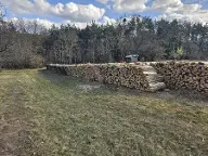 Brennholz Eiche Marz
