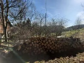 Brennholz Brennholz Apfel, Birke, Ahorn