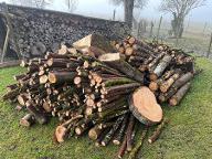 Brennholz Fichte, Tanne Gampern