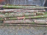 Brennholz Fichte, Tanne Diersbach