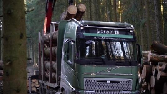 ad Wald besitzen ohne Arbeit