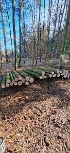 Rundholz Tanne Fichte Handenberg