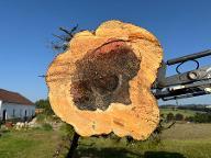 Rundholz Apfel