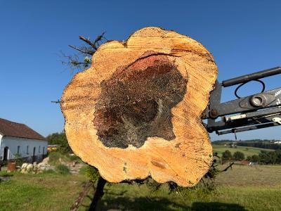 Rundholz Apfel