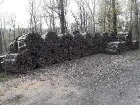 Brennholz Brennholz Eiche