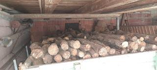 Brennholz Buche