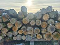 Brennholz Eiche, Buche, Kirsche Rundholz für Brennholz