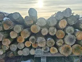 Brennholz Brennholz Eiche, Buche, Kirsche Rundholz für Brennholz