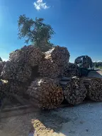 Brennholz Fichte, Esche, Eiche Lambach