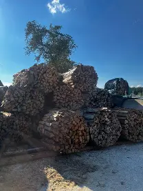 Brennholz Brennholz Fichte, Esche, Eiche