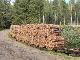 Brennholz Brennholz Fichte, Buche