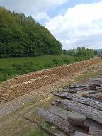 Brennholz Buche Kaumberg