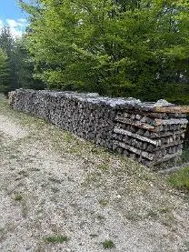 Brennholz Brennholz Kiefer