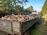 Brennholz Buche Nattheim