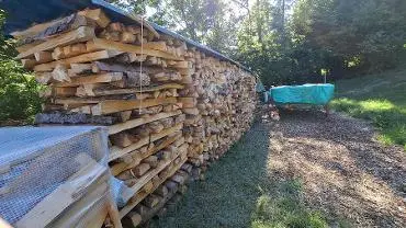 Brennholz Brennholz Fichte Gespalten