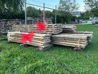 Schnittholz Esche Astrein