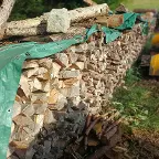 Brennholz Esche, Ahorn, Buche Micheldorf