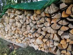 Brennholz Brennholz Fichte