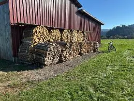 Brennholz Brennholz Fichte