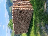 Brennholz Buche