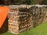 Brennholz Fichte