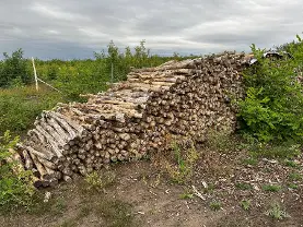 Rundholz Rundholz Sonstiges Holz Akazien Holz