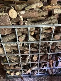 Brennholz Brennholz Fichte, Esche, Buche