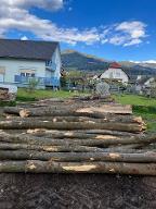 Rundholz Esche für Scheiterholz