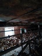 Brennholz Esche, Eiche, Buche