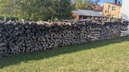 Brennholz Eibe, Salweide