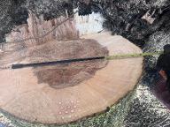 Rundholz Esche astrein Funierqualität Bad st. Leonhard