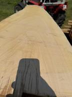 Schnittholz Birne - Nr. 24031