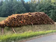 Rundholz Fichte Suche Cham