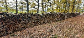 Brennholz Buche