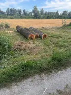 Rundholz Pappel Silberpappel ( fast Astrein ) Bad Füssing