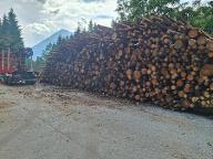 Brennholz Fichte Leutasch