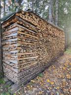 Brennholz Fichte Wörschach