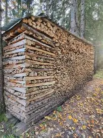 Brennholz Brennholz Fichte