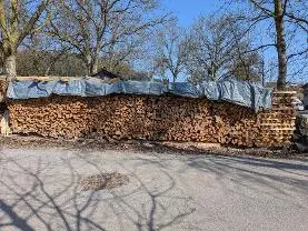 Brennholz Brennholz Fichte