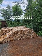 Brennholz Esche, Buche