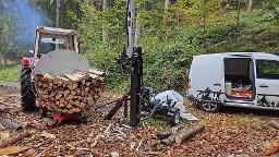 Brennholz Fichte, Buche Meter lang oder geschnitten