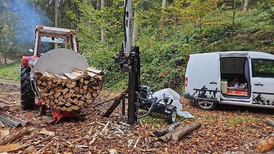 Fichte, Buche Meter lang oder geschnitten