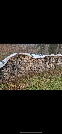 Brennholz Brennholz Esche