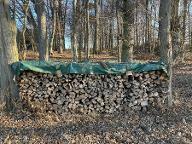 Brennholz Eiche, Buche Feistritztal