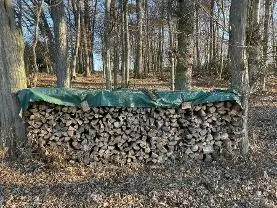 Brennholz Brennholz Eiche, Buche