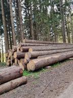 Rundholz Fichte Fichten Stammholz, Langholz
