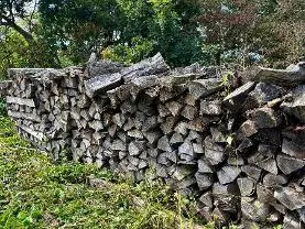 Brennholz Brennholz Esche